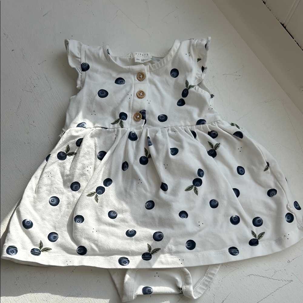 Baby Dress with Blueberry Print